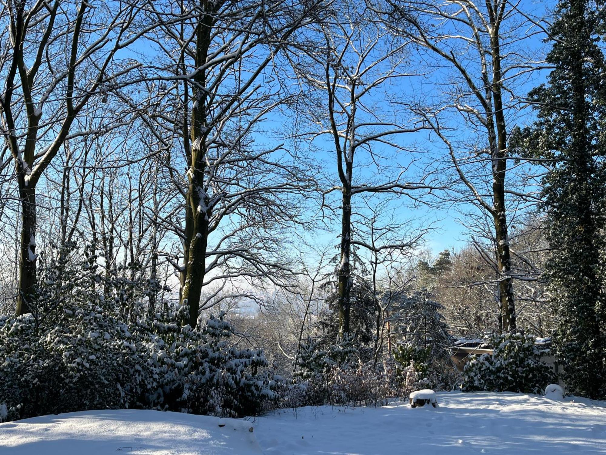 Kokoon In 'T Groen Leuven Buitenkant foto